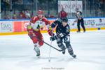 Photo hockey match Angers  - Grenoble  le 06/12/2024