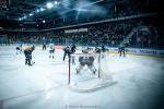 Photo hockey match Angers  - Marseille le 19/11/2024