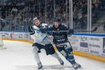 Photo hockey match Angers  - Marseille le 19/11/2024