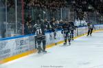 Photo hockey match Angers  - Marseille le 19/11/2024