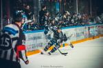 Photo hockey match Angers  - Marseille le 19/11/2024