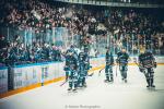 Photo hockey match Angers  - Marseille le 19/11/2024