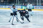 Photo hockey match Angers  - Marseille le 08/12/2024