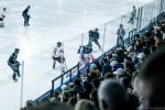 Photo hockey match Angers  - Nice le 17/12/2024