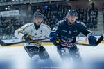 Photo hockey match Angers  - Rouen le 29/11/2024