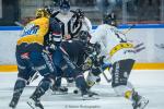 Photo hockey match Angers  - Rouen le 29/11/2024