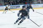 Photo hockey match Angers  - Rouen le 29/11/2024