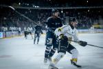 Photo hockey match Angers  - Rouen le 29/11/2024