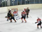 Photo hockey match Besanon - Belfort  le 27/03/2010