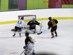 Photo hockey match Besanon - Colmar le 25/01/2014