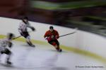 Photo hockey match Besanon - Colmar le 14/12/2024