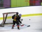 Photo hockey match Besanon - Dammarie-les-Lys le 21/12/2013