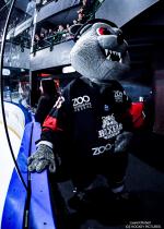 Photo hockey match Bordeaux - Angers  le 25/10/2024