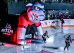 Photo hockey match Bordeaux - Angers  le 25/10/2024