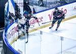 Photo hockey match Bordeaux - Angers  le 25/10/2024