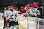 Photo hockey match Bordeaux - Anglet le 03/11/2024