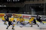 Photo hockey match Bordeaux - Dunkerque le 16/03/2014