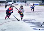 Photo hockey match Bordeaux / Fminine - Grenoble / Fminin le 18/02/2023