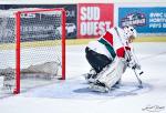 Photo hockey match Bordeaux / Fminine - Grenoble / Fminin le 18/02/2023