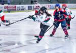 Photo hockey match Bordeaux / Fminine - Grenoble / Fminin le 18/02/2023