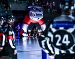 Photo hockey match Bordeaux - Gap  le 19/11/2024