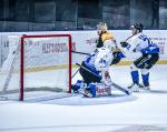 Photo hockey match Bordeaux - Gap  le 19/11/2024