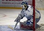 Photo hockey match Bordeaux - Gap  le 17/01/2025