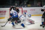 Photo hockey match Bordeaux - Gap  le 17/01/2025