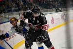 Photo hockey match Bordeaux - Gap  le 17/01/2025