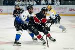 Photo hockey match Bordeaux - Gap  le 17/01/2025