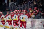 Photo hockey match Bordeaux - Grenoble  le 24/11/2024