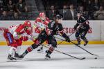 Photo hockey match Bordeaux - Grenoble  le 24/11/2024