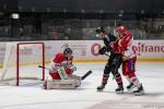 Photo hockey match Bordeaux - Grenoble  le 24/11/2024