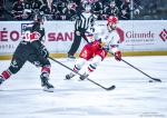 Photo hockey match Bordeaux - Grenoble  le 26/11/2024