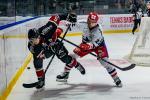 Photo hockey match Bordeaux - Grenoble  le 26/11/2024