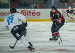 Photo hockey match Bordeaux - Marseille le 13/09/2024