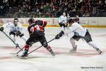 Photo hockey match Bordeaux - Marseille le 13/09/2024