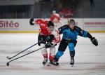 Photo hockey match Bordeaux - Marseille le 20/12/2024