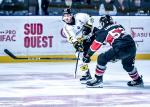 Photo hockey match Bordeaux - Rouen le 01/11/2024