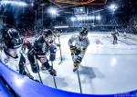 Photo hockey match Bordeaux - Rouen le 01/11/2024