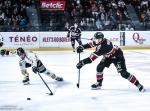 Photo hockey match Bordeaux - Rouen le 01/11/2024