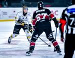 Photo hockey match Bordeaux - Rouen le 01/11/2024