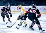 Photo hockey match Bordeaux - Rouen le 01/11/2024