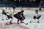 Photo hockey match Bordeaux - Rouen le 01/11/2024