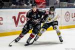 Photo hockey match Bordeaux - Rouen le 01/11/2024