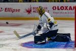 Photo hockey match Bordeaux - Rouen le 01/11/2024