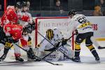 Photo hockey match Bordeaux - Rouen le 30/12/2024