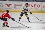 Photo hockey match Bordeaux - Rouen le 30/12/2024