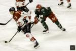 Photo hockey match Cergy-Pontoise - Amiens  le 01/11/2024