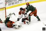 Photo hockey match Cergy-Pontoise - Amiens  le 01/11/2024